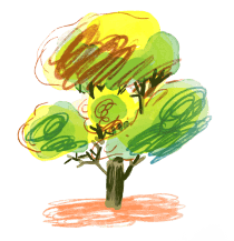 Tree Image
